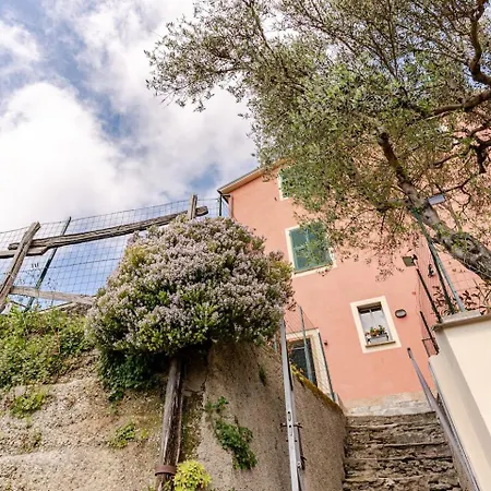 Casa Sarvaega بيت ضيافة 3*